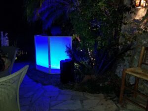 An outdoor scene at night with a glowing blue light panel near tropical plants, a wicker chair, and stone paving visible in the foreground.